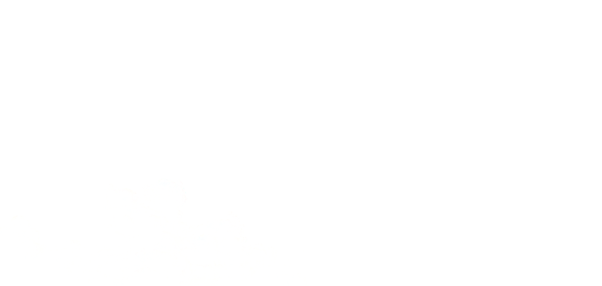 6t����(6TSPORTS)�����Źɷݹ�˾