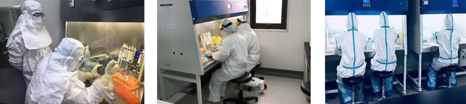 1583216964364307.jpg 1.jpg