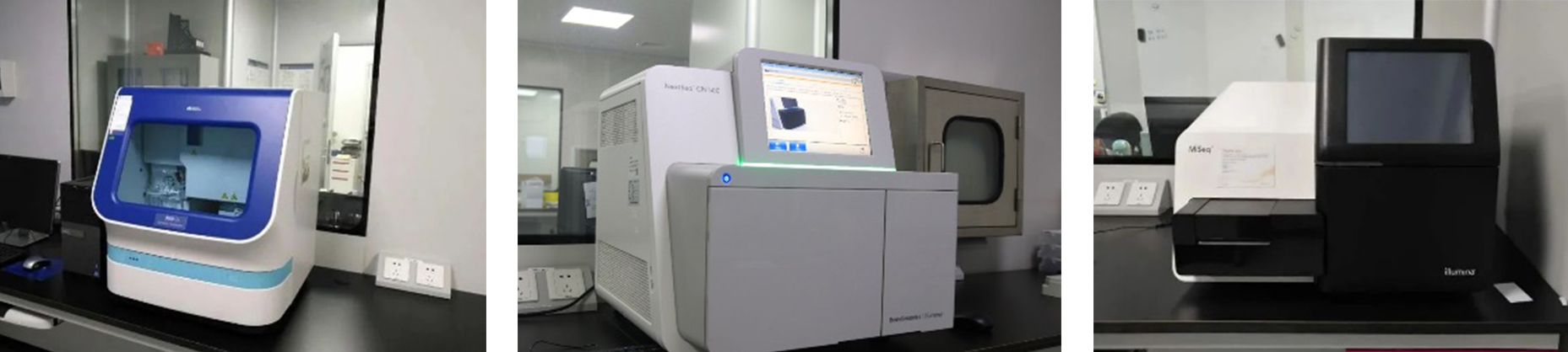 1583217204107011.jpg 3.jpg