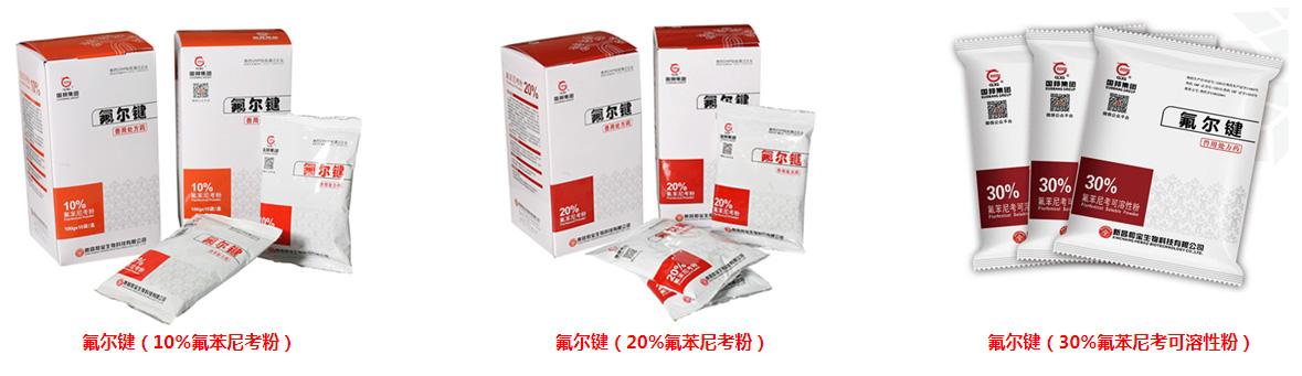 ڲtengbo9885-